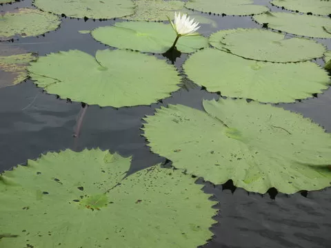 福彩3D官方客服团队